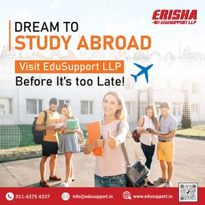 Undergraduate Study in Sweden